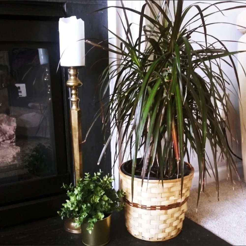 Woven rattan‎ planter basket two tones boho or waste basket trash home decor